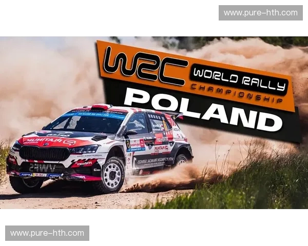 WRC分析：风驰电掣背后的策略与激情